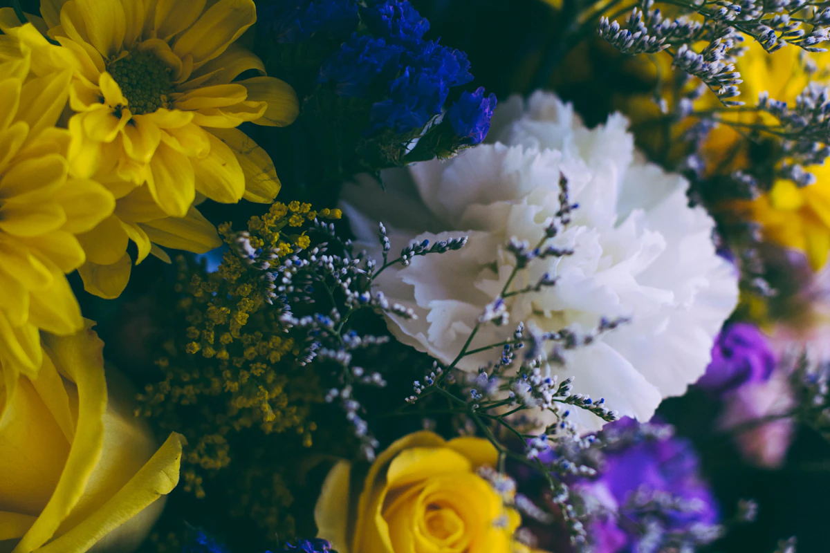 Seasonal flowers arranged as a loose bouquet